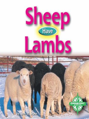 cover image of Sheep Have Lambs